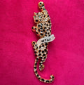 WTAF leopard pin
