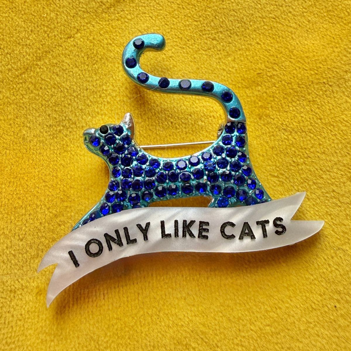 I only like cats, sparkly BLUE cat pin
