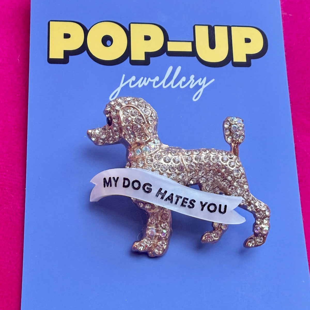 My dog hates you, POODLE pin