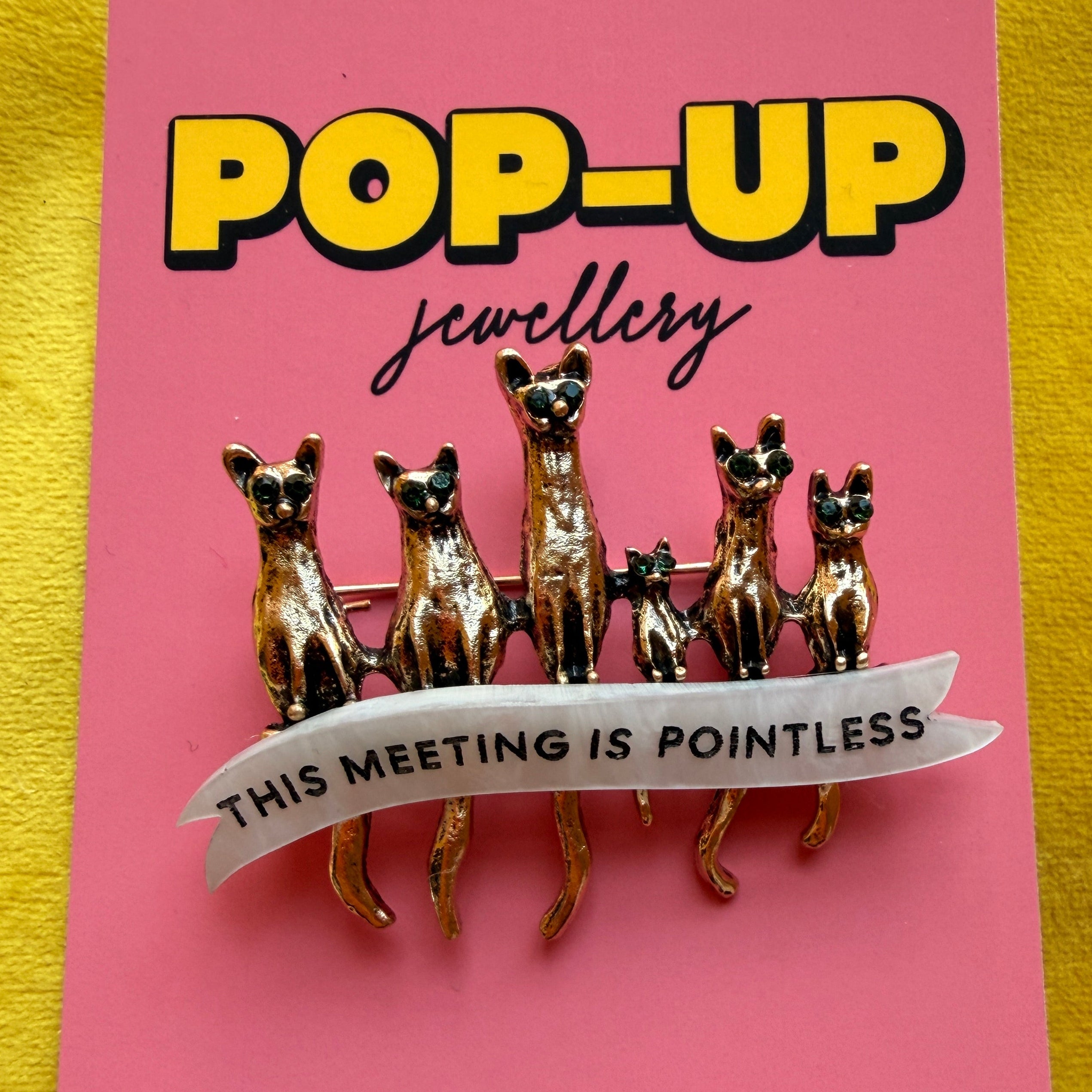 THIS MEETING IS POINTLESS, cat meeting pin.