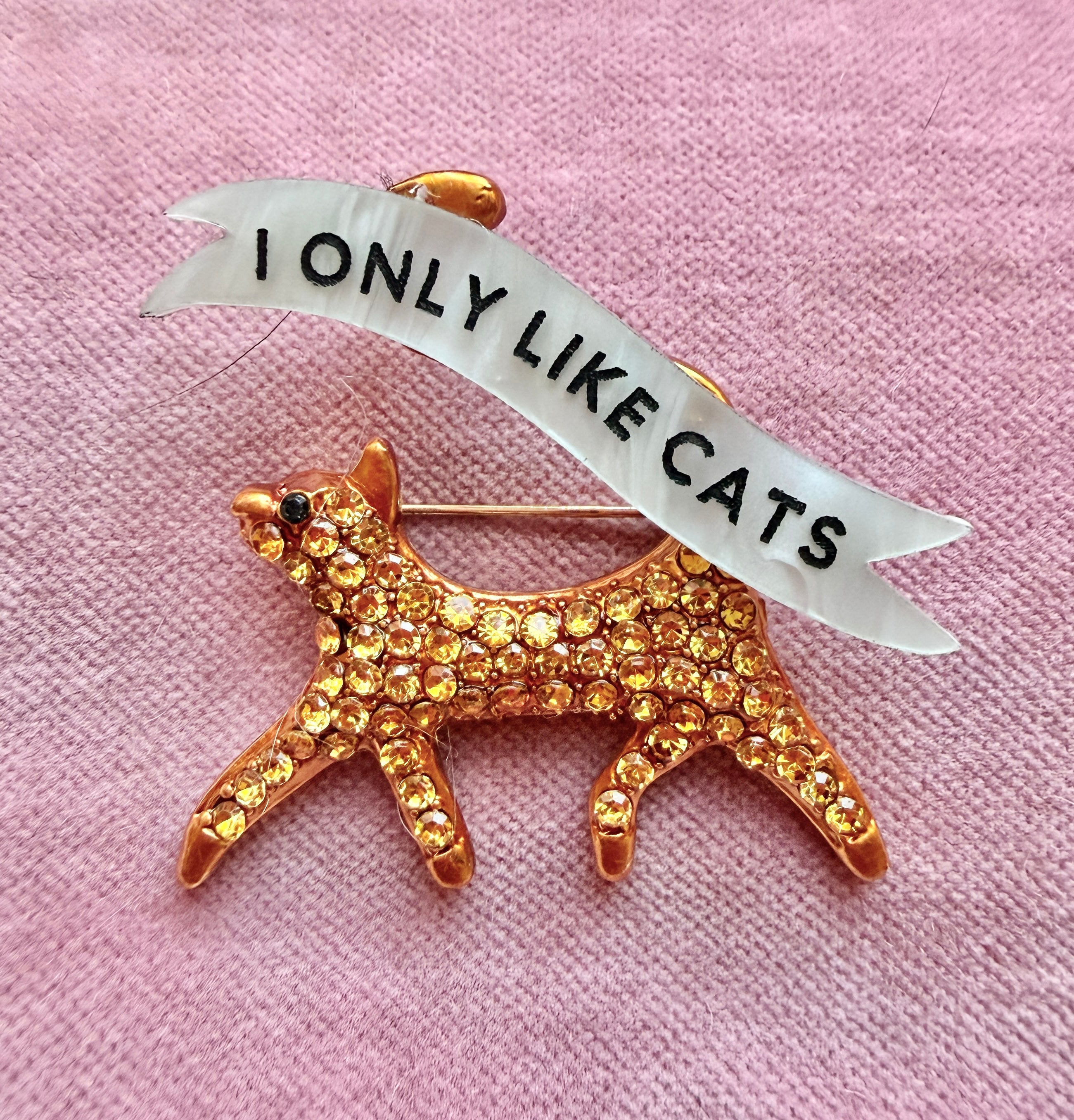 I ONLY LIKE CATS, marmalade cat pin