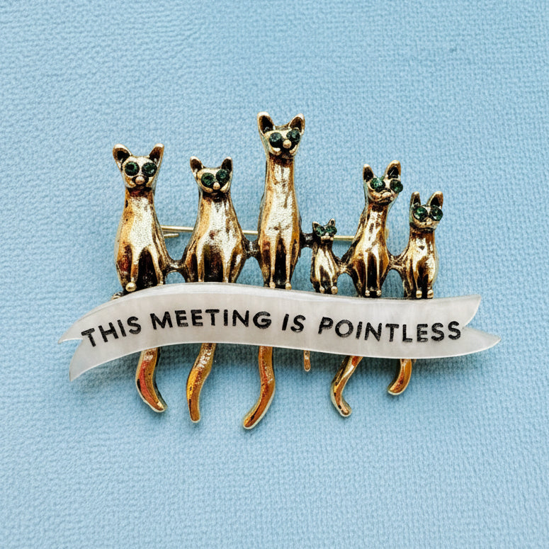 THIS MEETING IS POINTLESS, cat meeting pin.