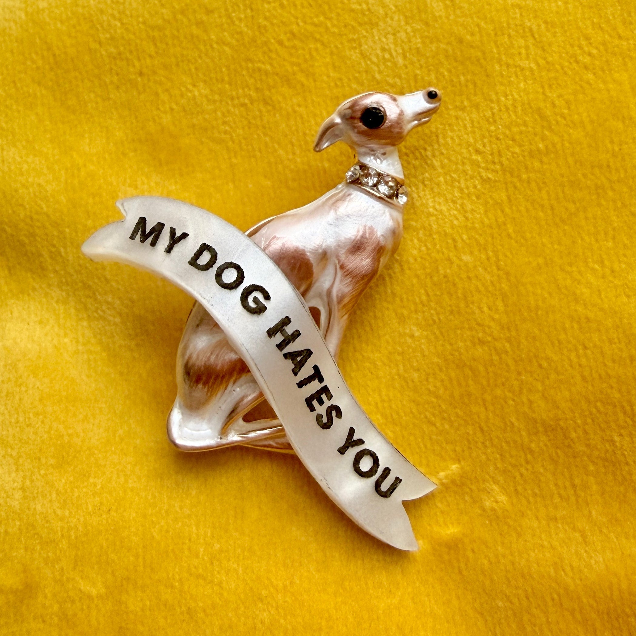 My Dog HATES you, pin