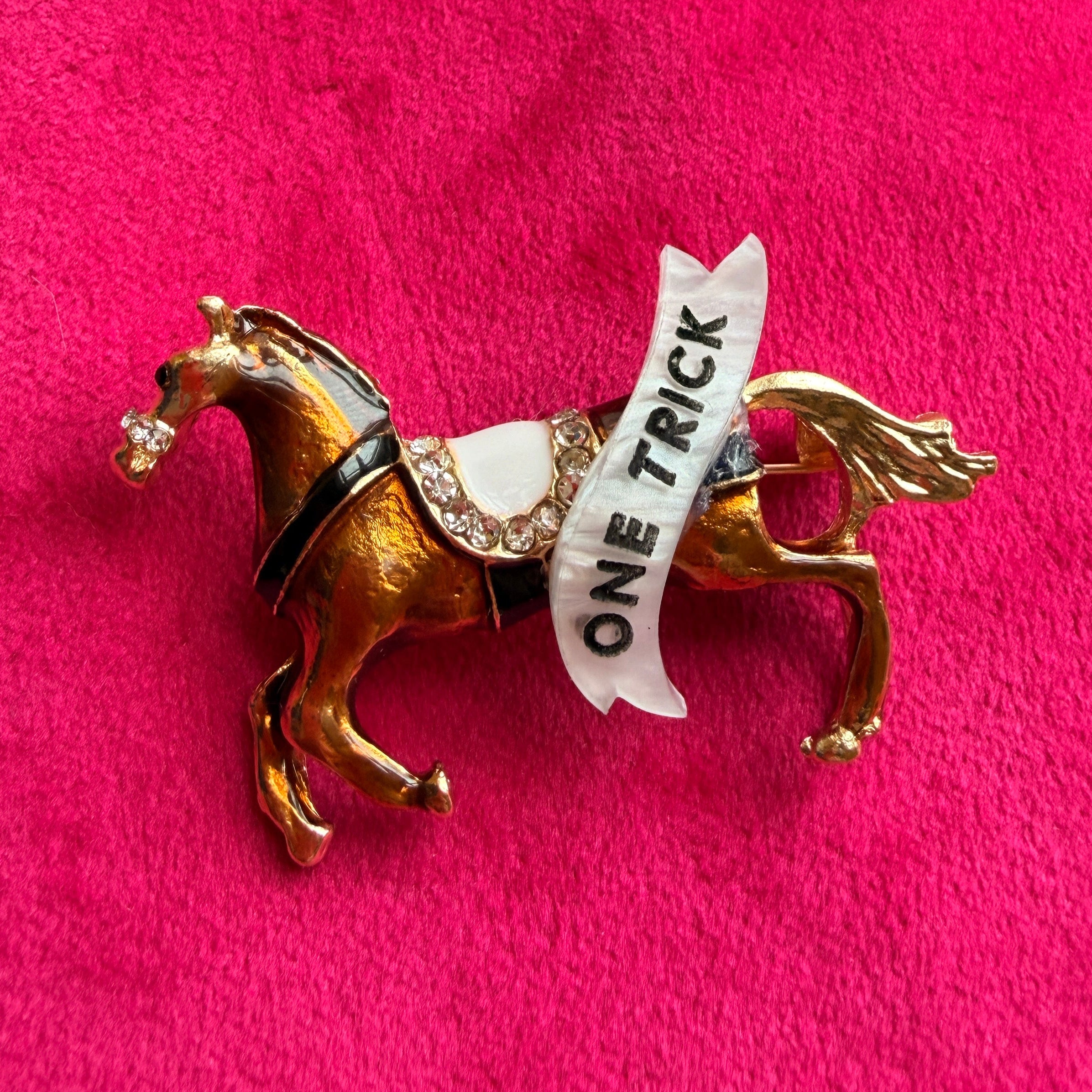 ONE TRICK PONY pin