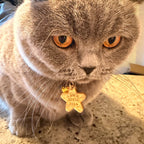 I AM A TOTAL DICK, cat collar charm