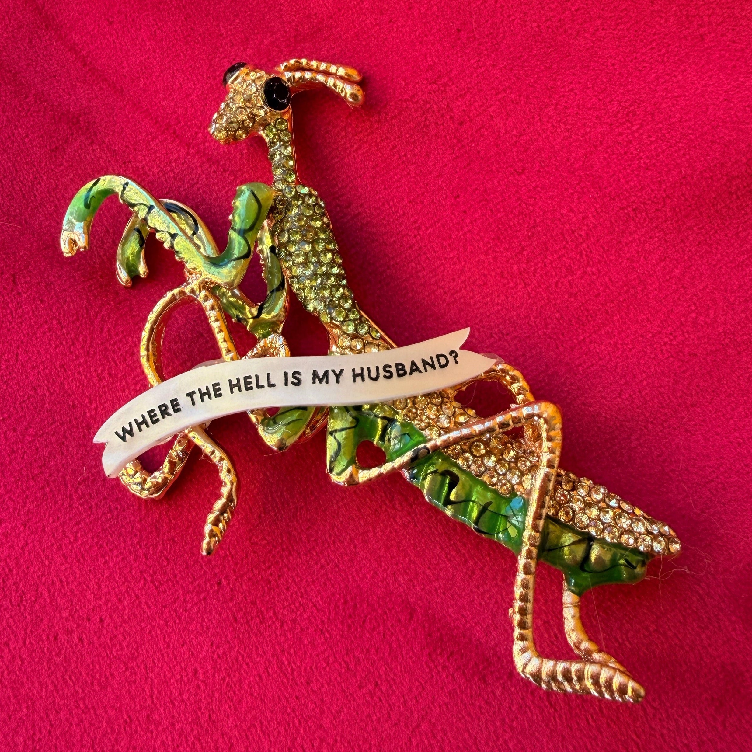 Where the hell is my MANTIS husband? Pin